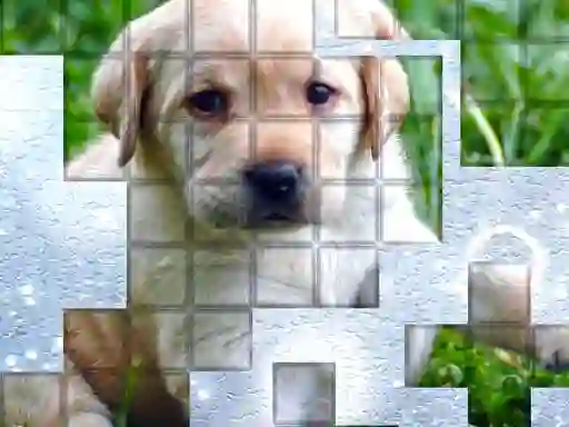 لعبة PicPu Dog على الانترنت