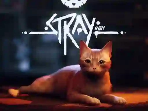 لعبة Stray على الانترنت