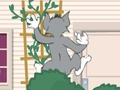 لعبة Wasserbomben Wahnsinn :ﻱﺮﻴﺟ ﺪﻧﺁ ﻡﻮﺗ  على الانترنت