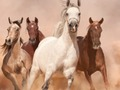 لعبة ﻝﻮﻴﺨﻟﺍ ﺰﻐﻟ  على الانترنت