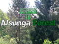 لعبة Alsunga ﺔﺑﺎﻏ ﻰﻟﺇ ﺓﺩﻮﻌﻟﺍ  على الانترنت