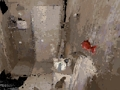 لعبة ﻝﻮﻐﺸﻣ  على الانترنت