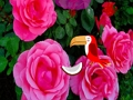 لعبة ﺔﻨﻴﻤﺜﻟﺍ ﺩﻭﺭﻮﻟﺍ ﻦﻣ ﺏﻭﺮﻬﻟﺍ  على الانترنت