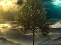 لعبة ﺏﻭﺮﻬﻟﺍ ﺔﻴﻨﺠﻟﺍ ﺔﺑﺎﻐﻟﺍ ﻢﻫﻮﻟﺍ  على الانترنت
