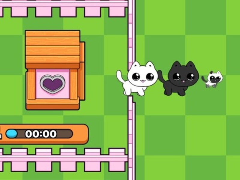 لعبة .ﻲﺑ ﺔﺻﺎﺨﻟﺍ ﺕﺎﺴﻴﺴﺒﻟﺍ Catworld على الانترنت