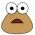 Pou في